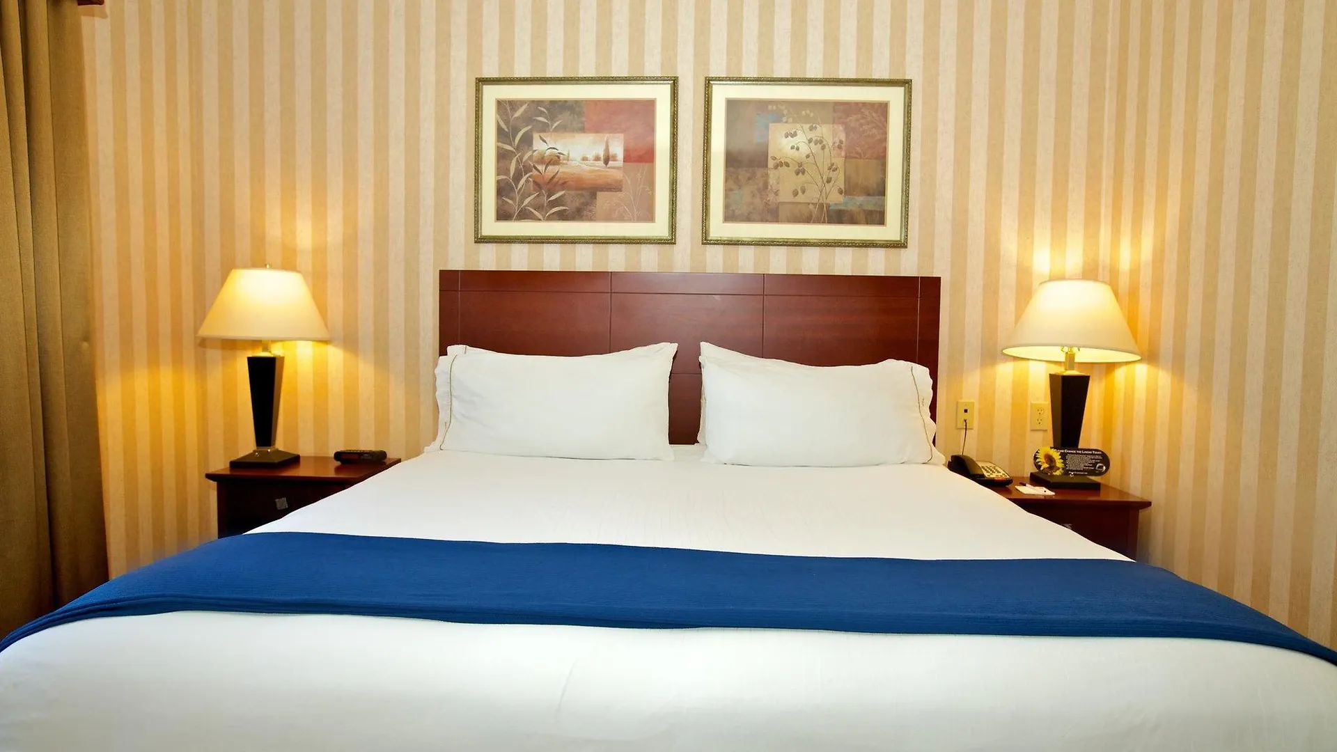 Hotel Holiday Inn Express & Suites Lathrop By Ihg
